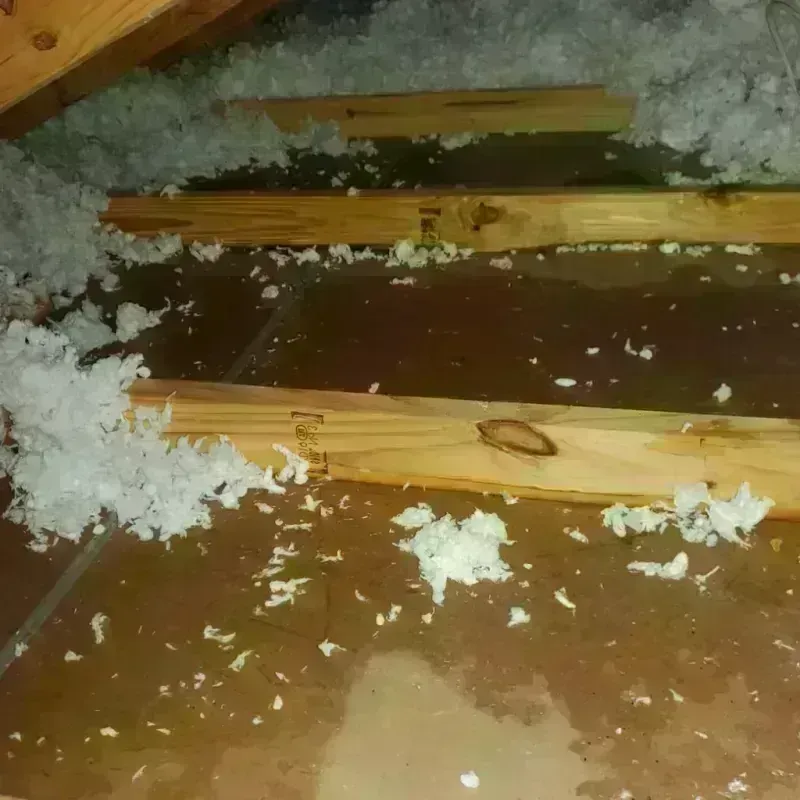 Attic Water Damage in Auburn Lake Trails, CA