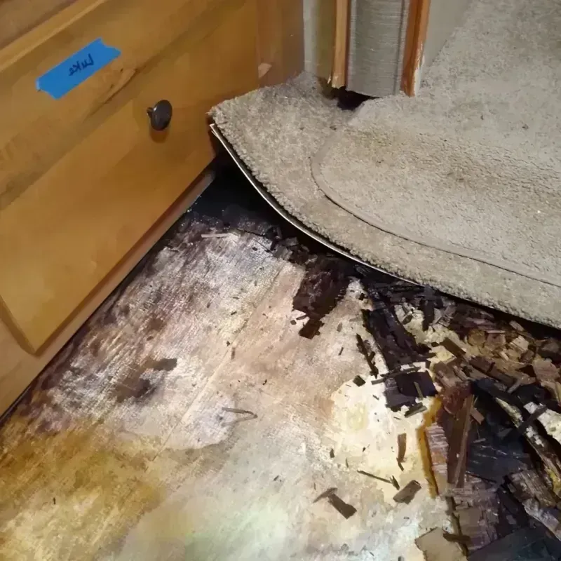 Wood Floor Water Damage in Auburn Lake Trails, CA